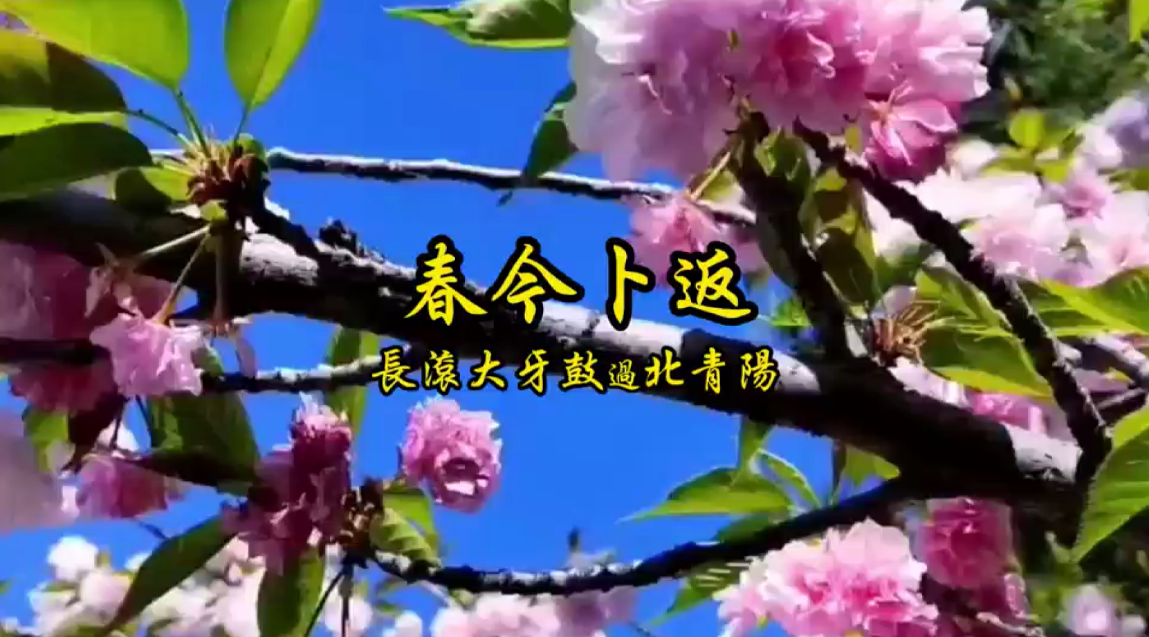 南音指谱《春今卜返》，表演单位：菲律宾国风郎君社